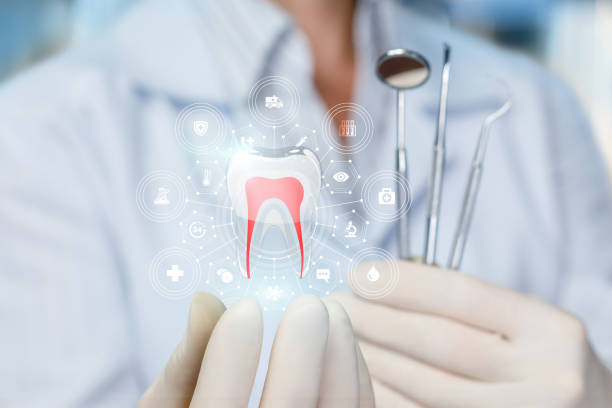Professional Holistic Dental Care Services in Belleville, PA